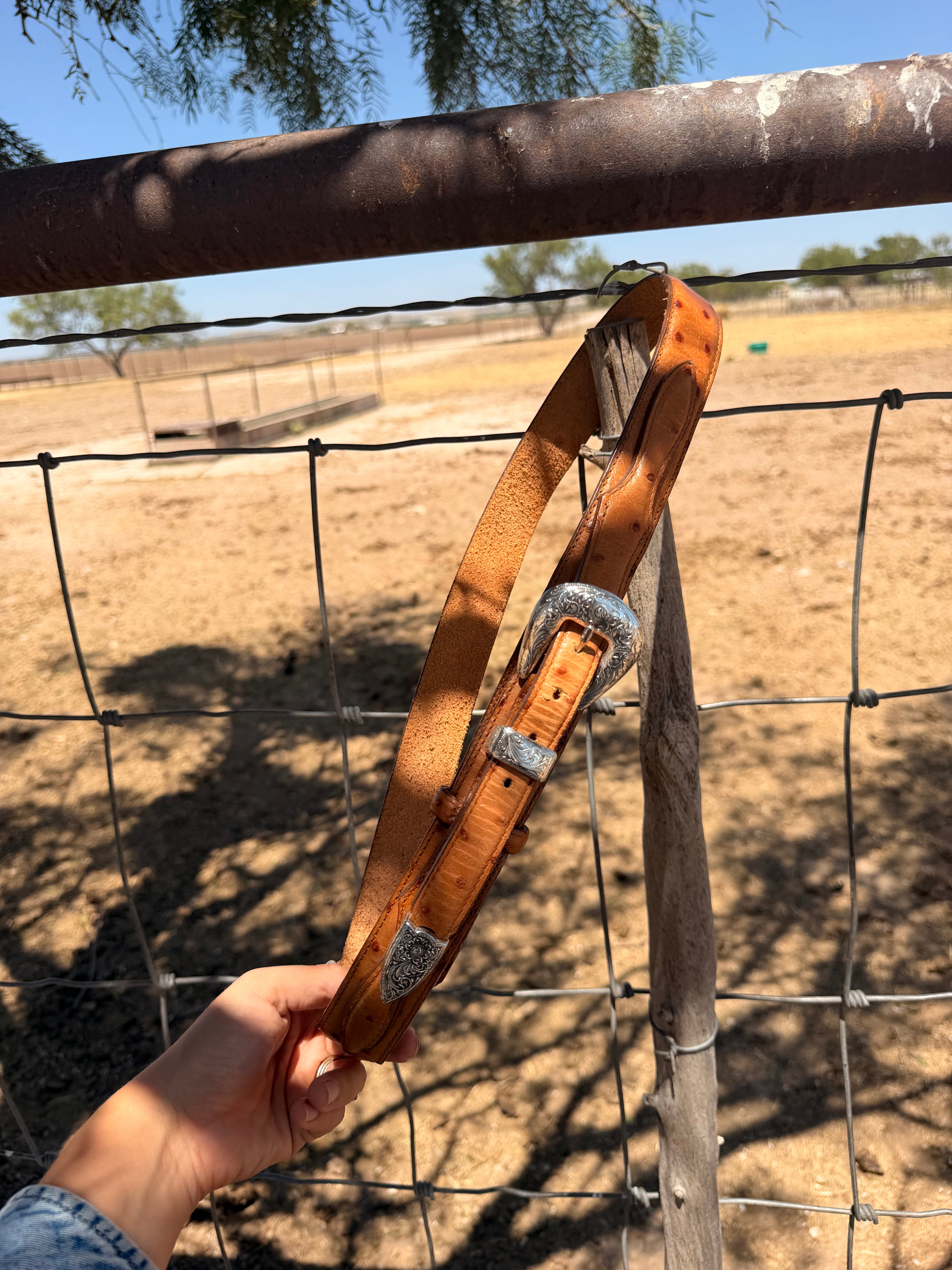 Pecos Silver