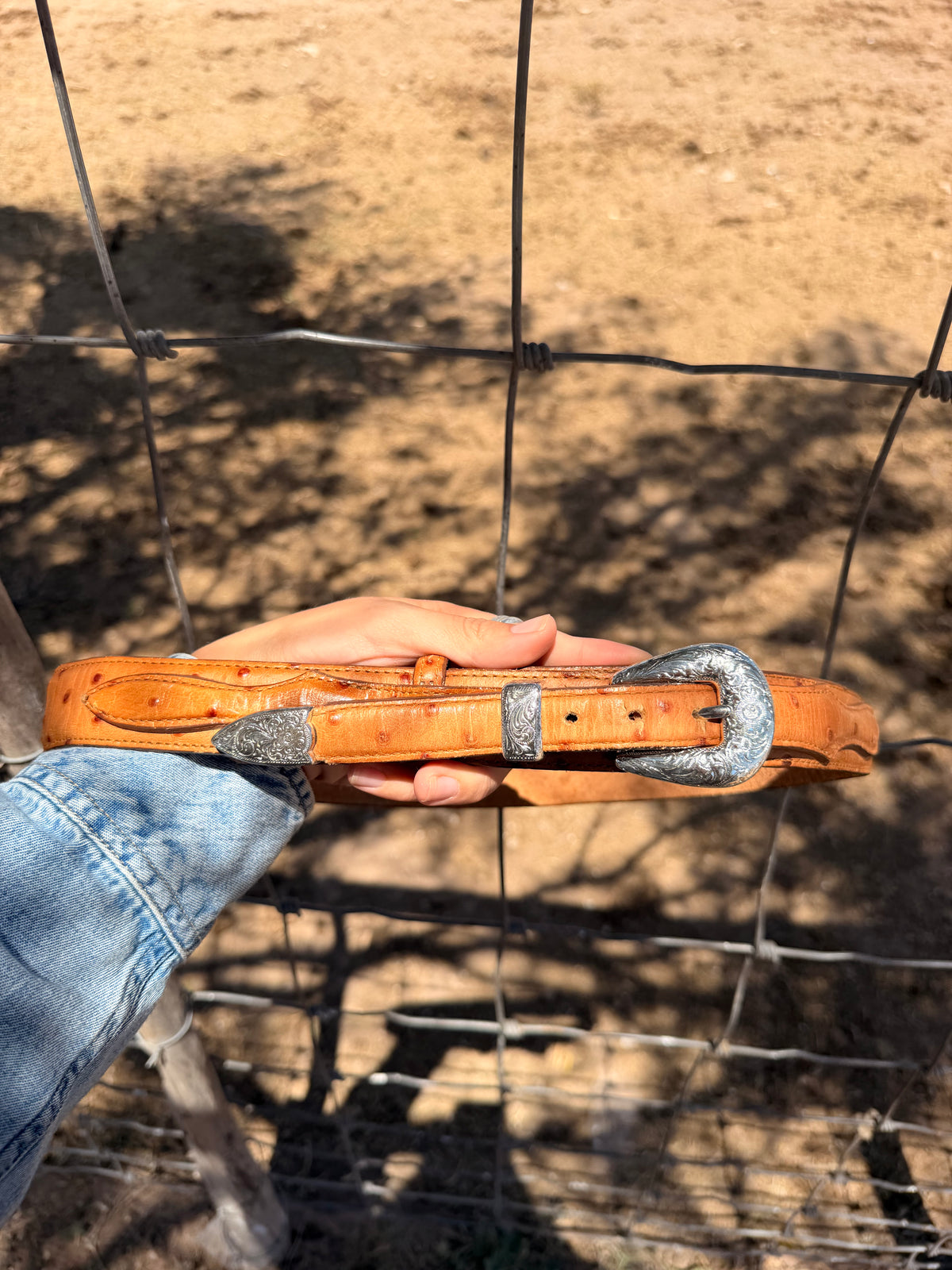 Pecos Silver