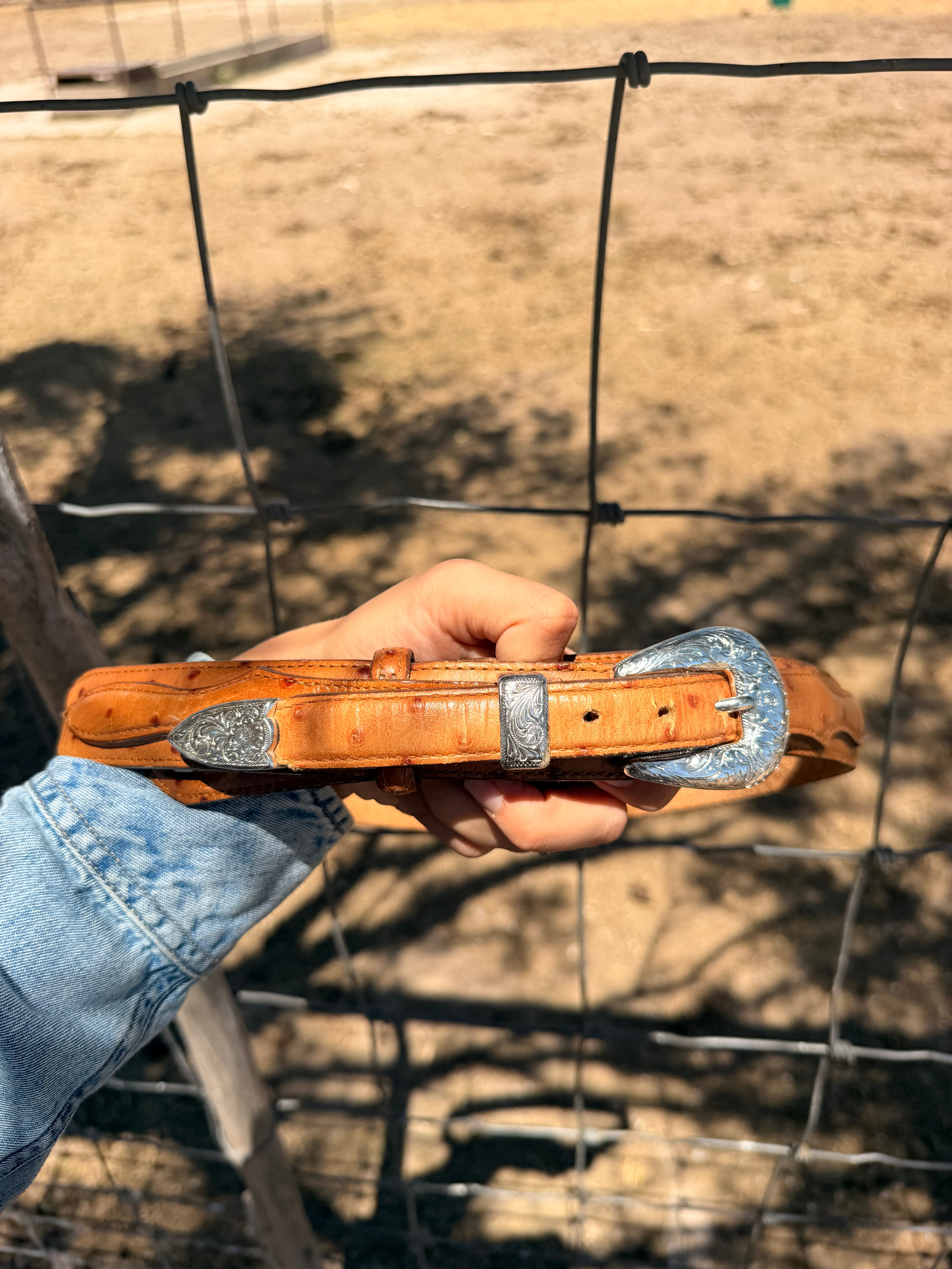 Pecos Silver
